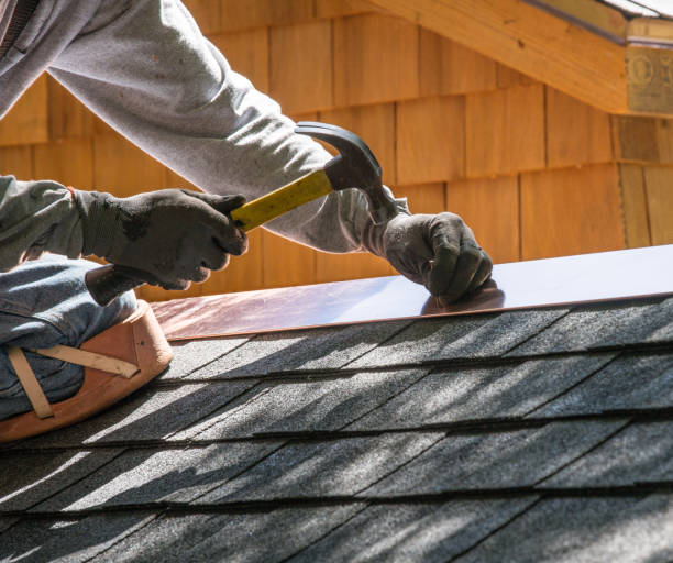 Best Local Roofing Companies  in Leon, IA
